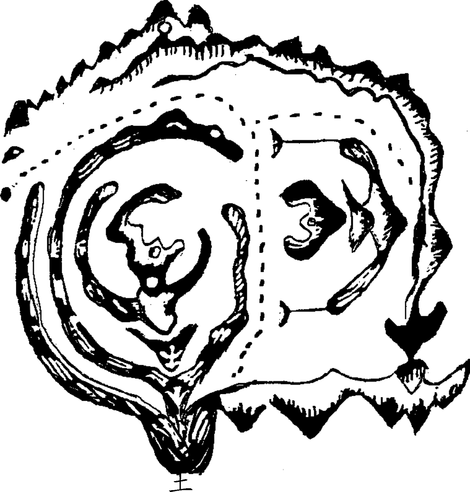 7.png