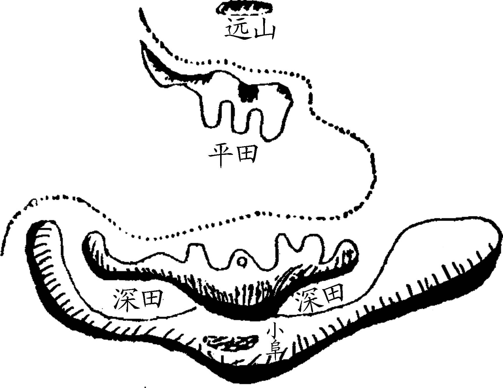 5.png