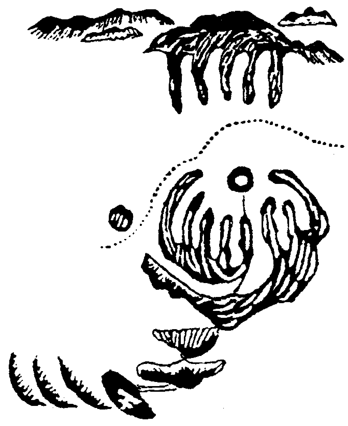 12.png