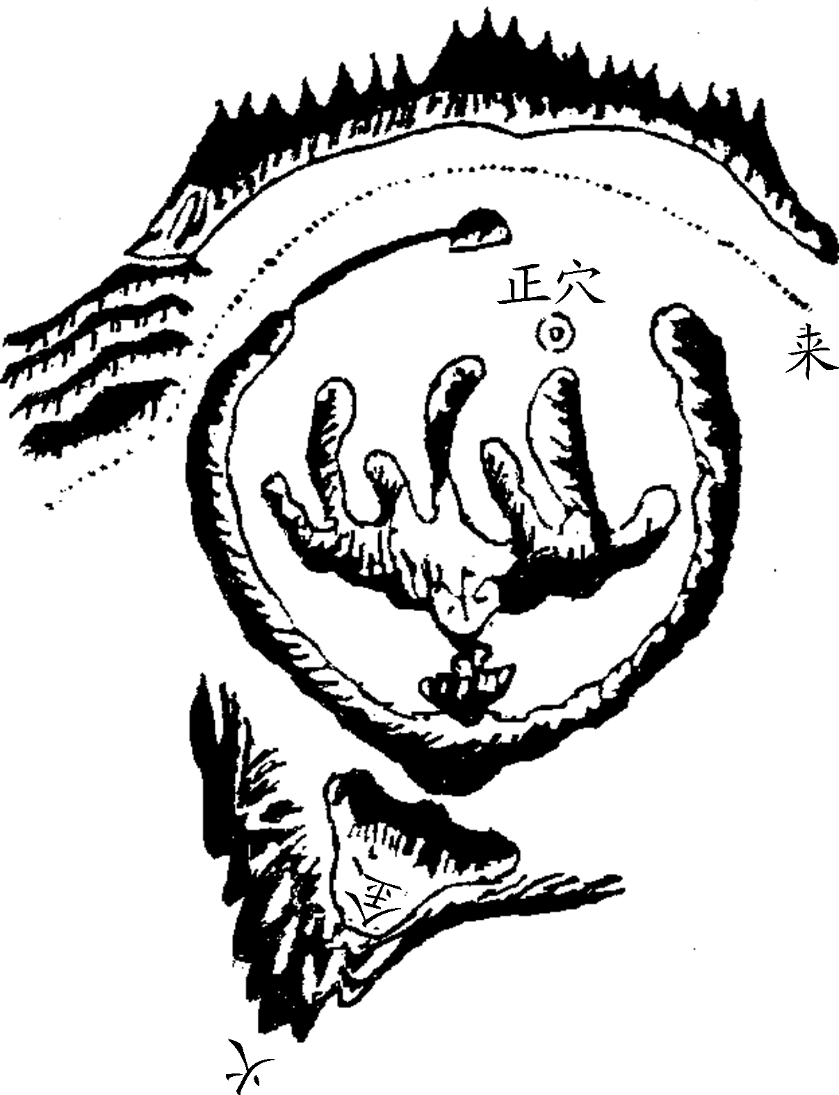 13.png