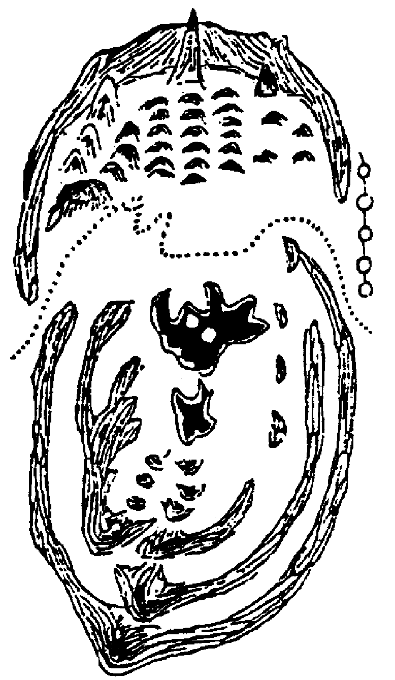 15.png