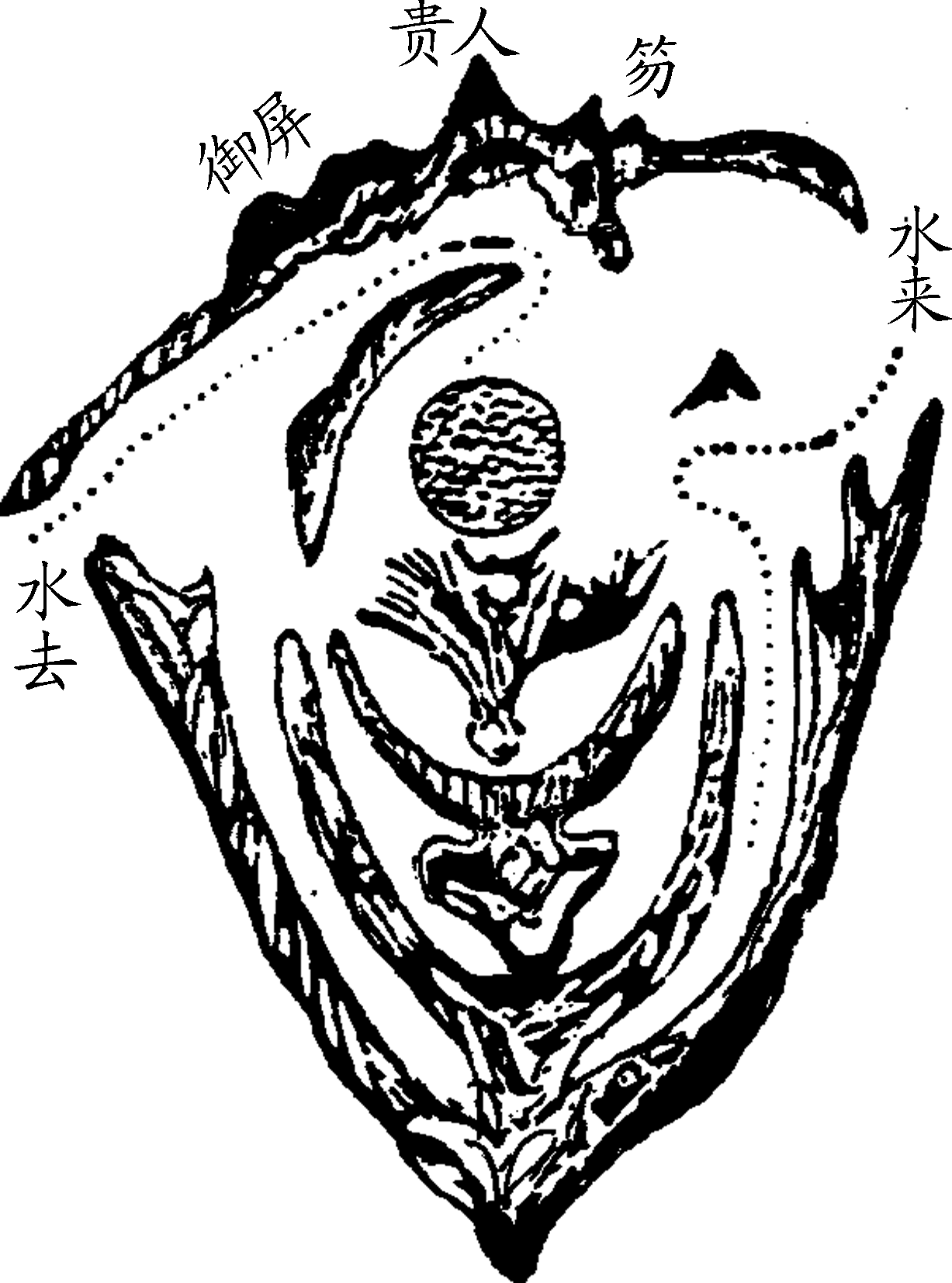 19.png
