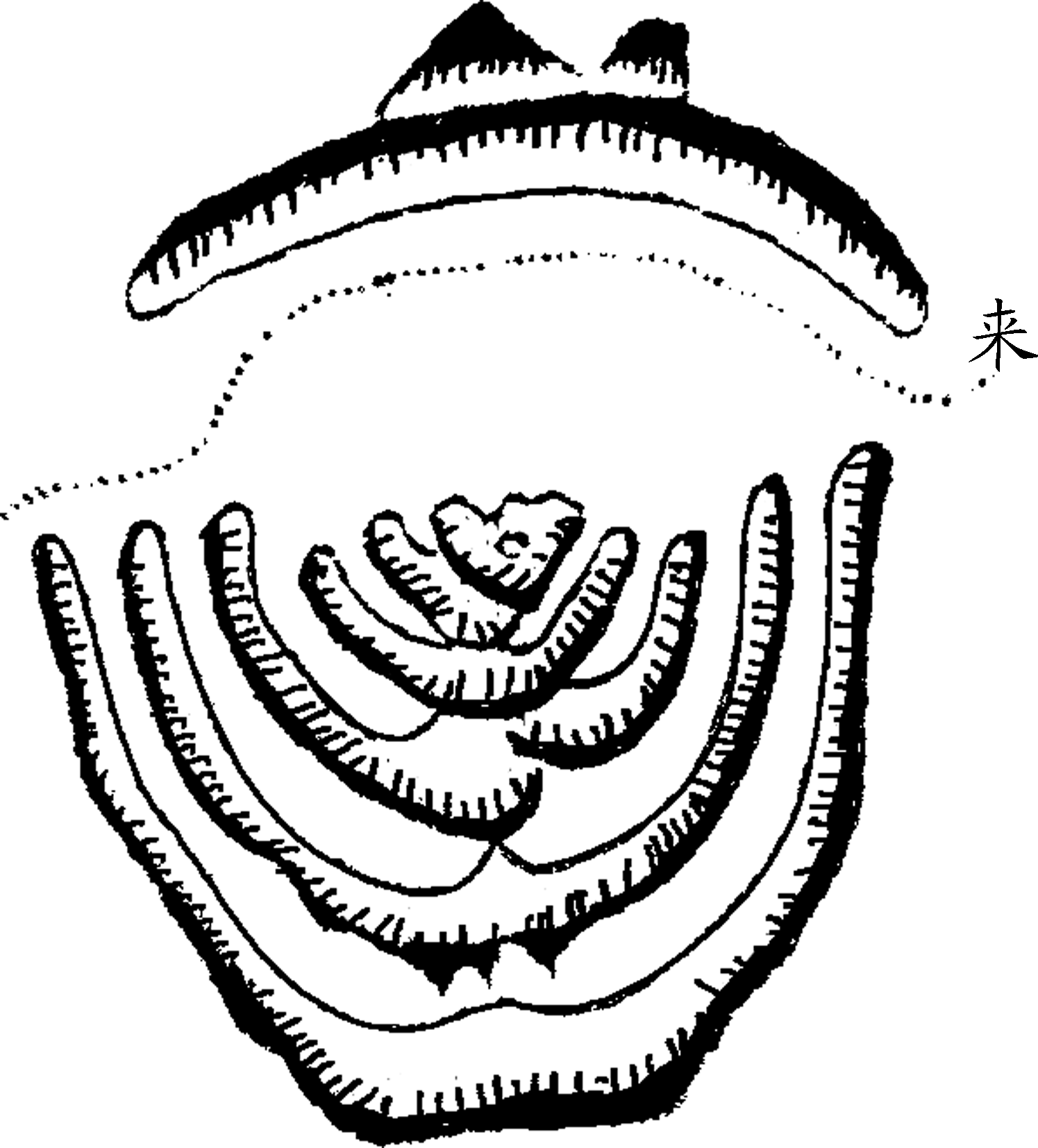 9.png