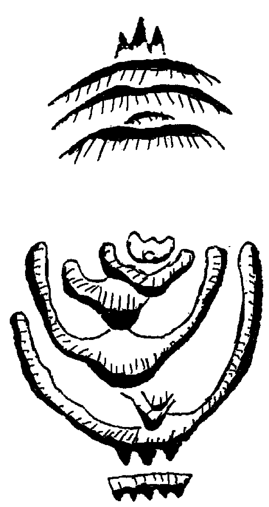 7.png