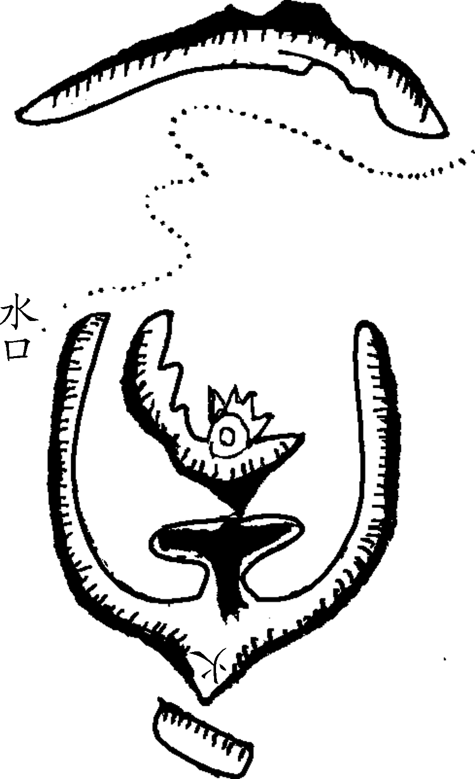9.png