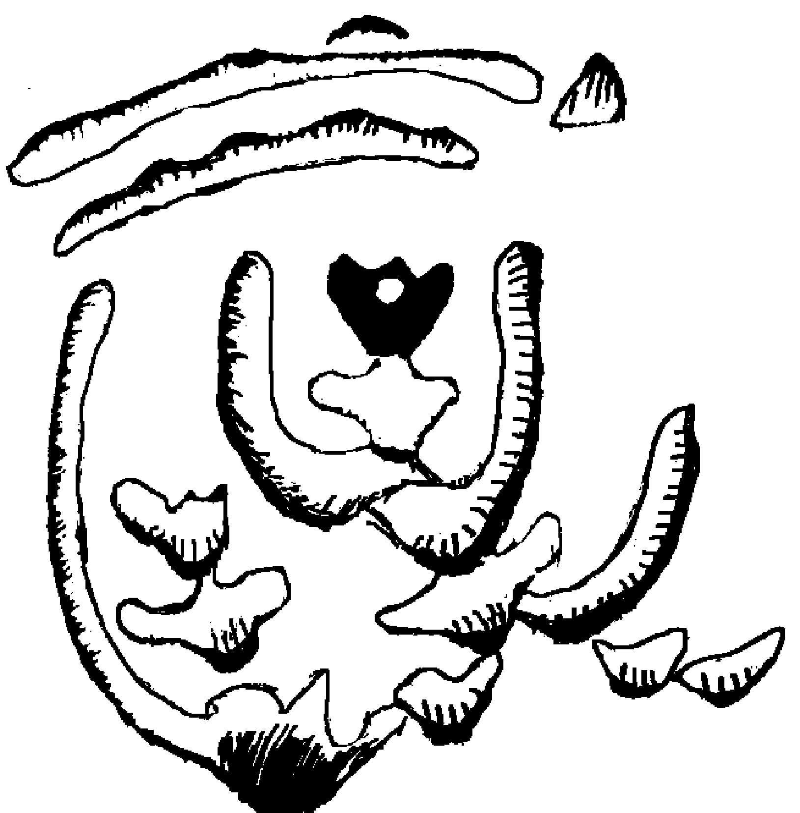 6.png