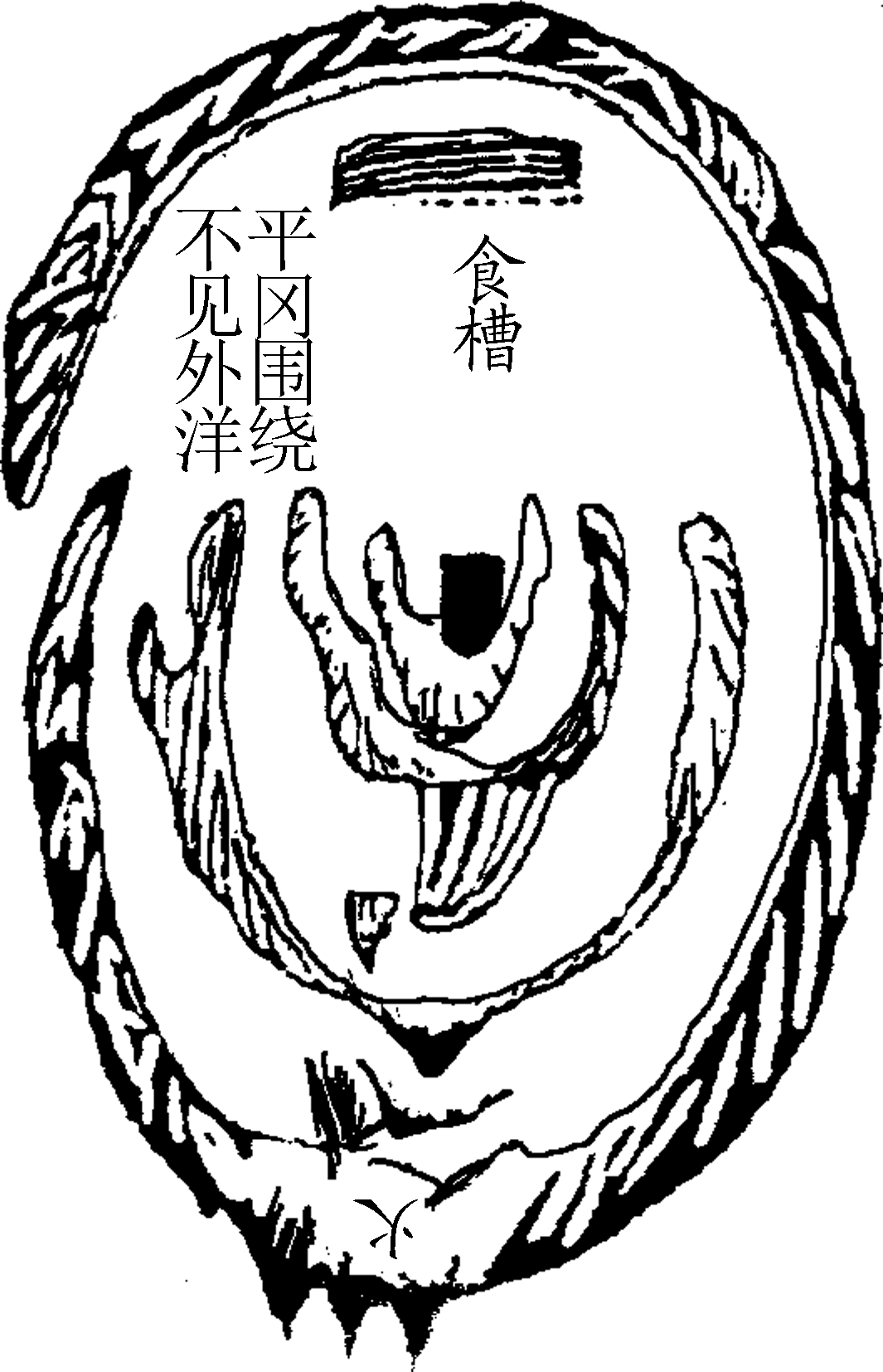 8.png